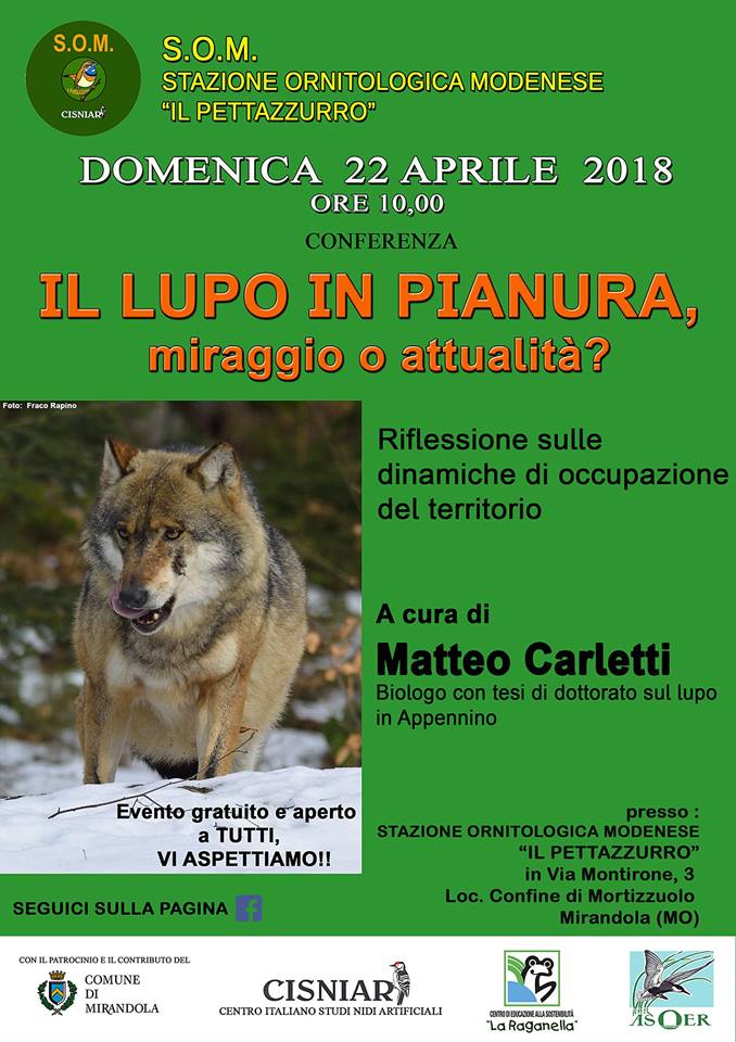 22 Aprile – Conferenza – Il lupo in pianura