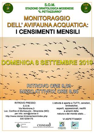 8 Settembre – Monitoraggio dell’Avifauna Acquatica – Censimenti…..