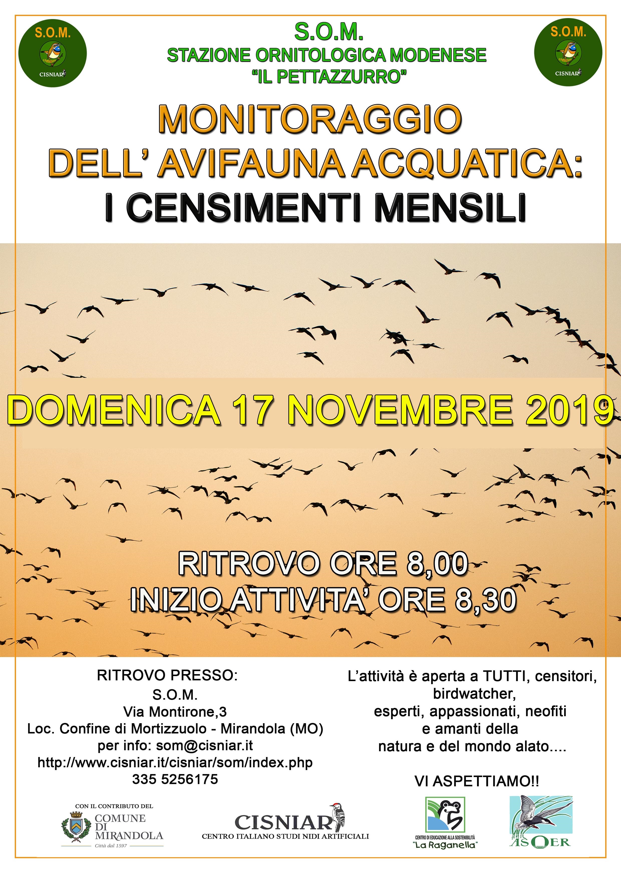 17 Novembre – S.O.M. Censimento Mensile