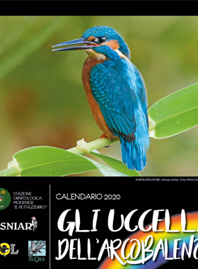 Il calendario della S.O.M. 2020