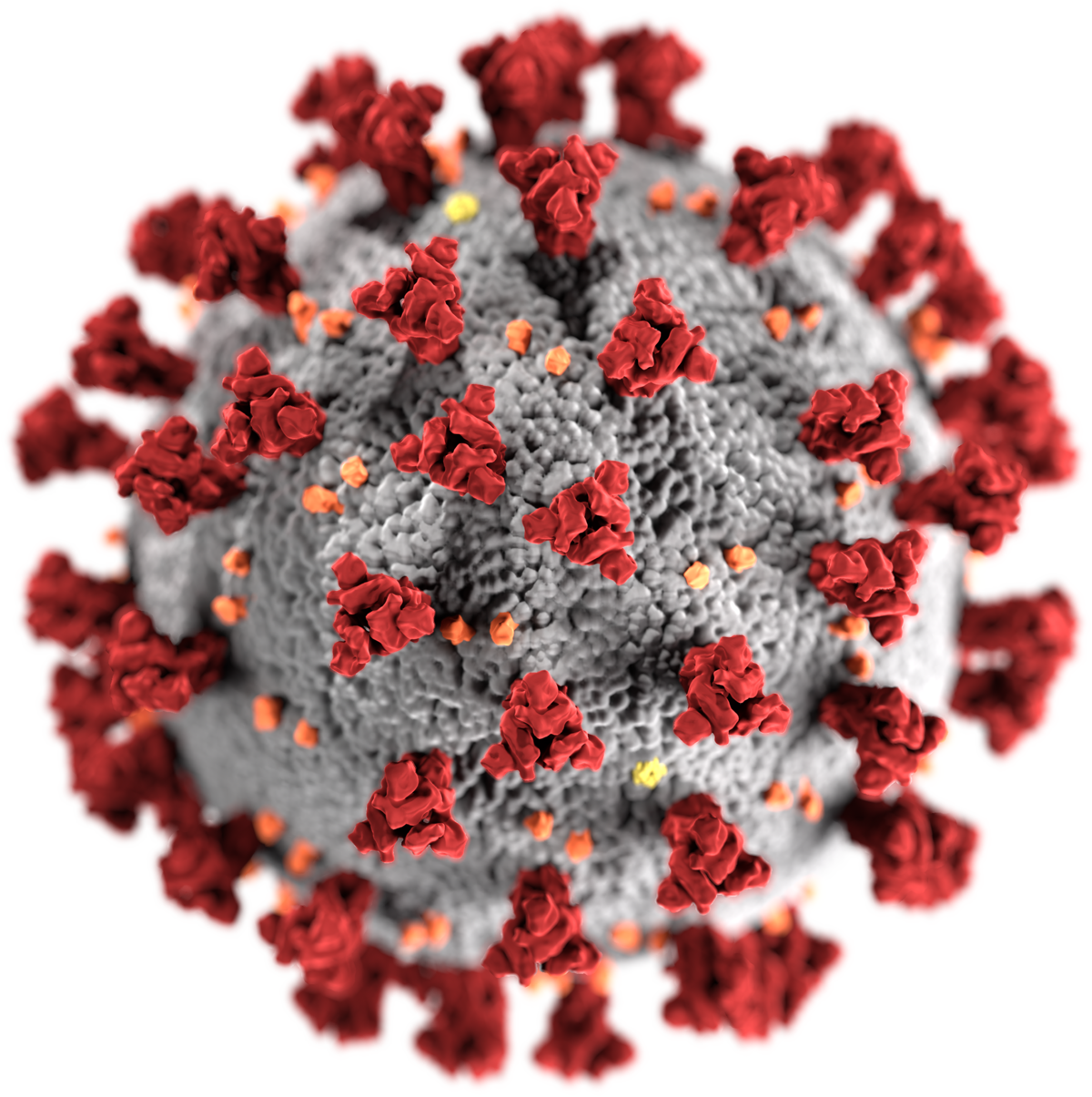 13 Marzo 2021 – Presidenza del Consiglio dei Ministri – Piano vaccinale anti Covid