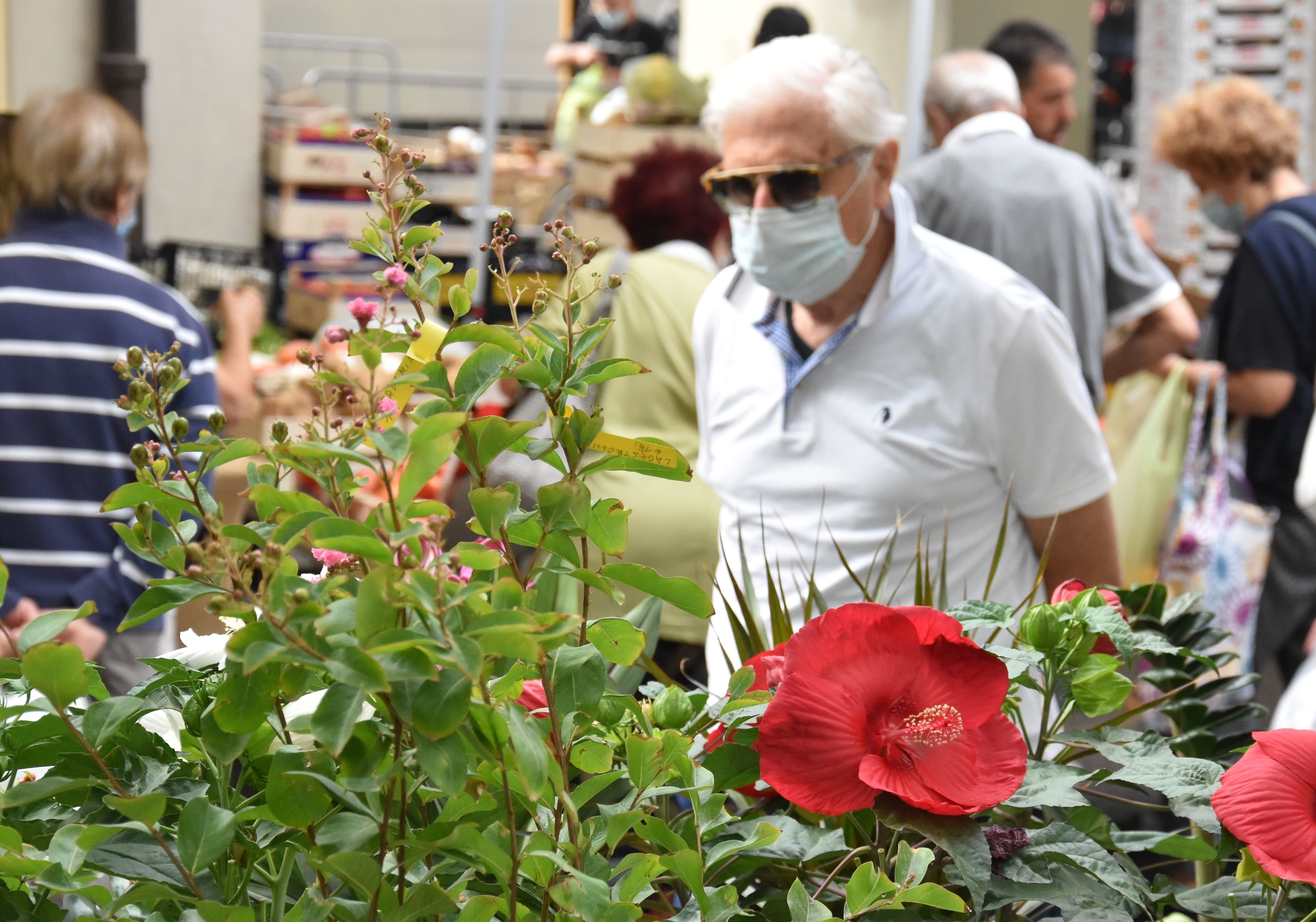 Lunedì a Modena torna il tradizionale Mercato