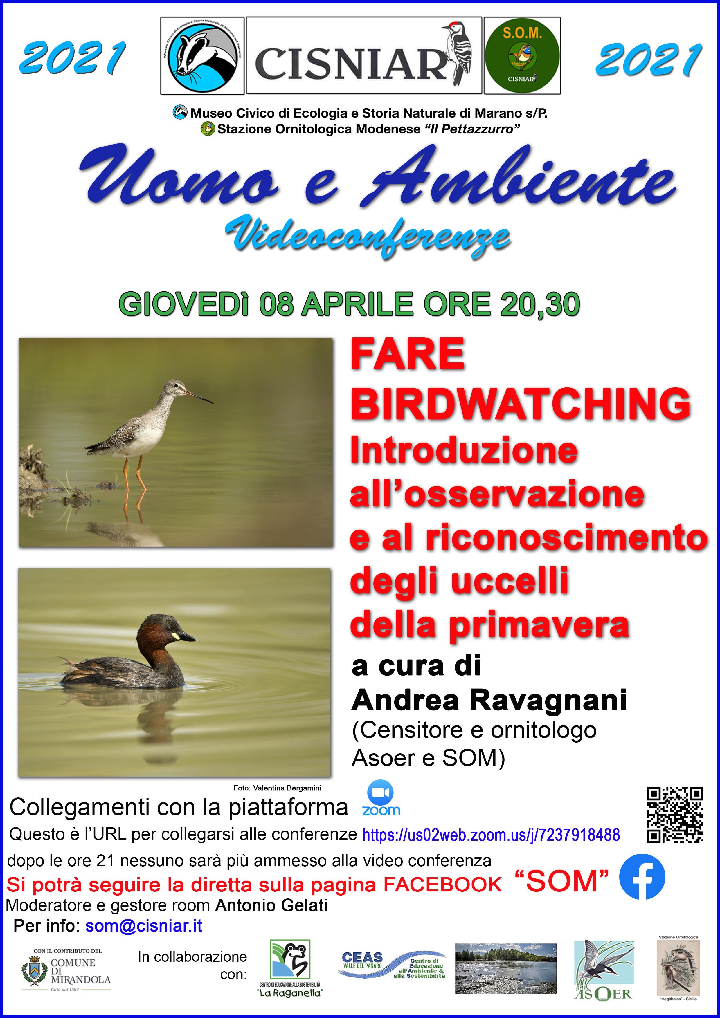 8 Aprile – SOM – Videoconferenza – “Fare Birdwatching”