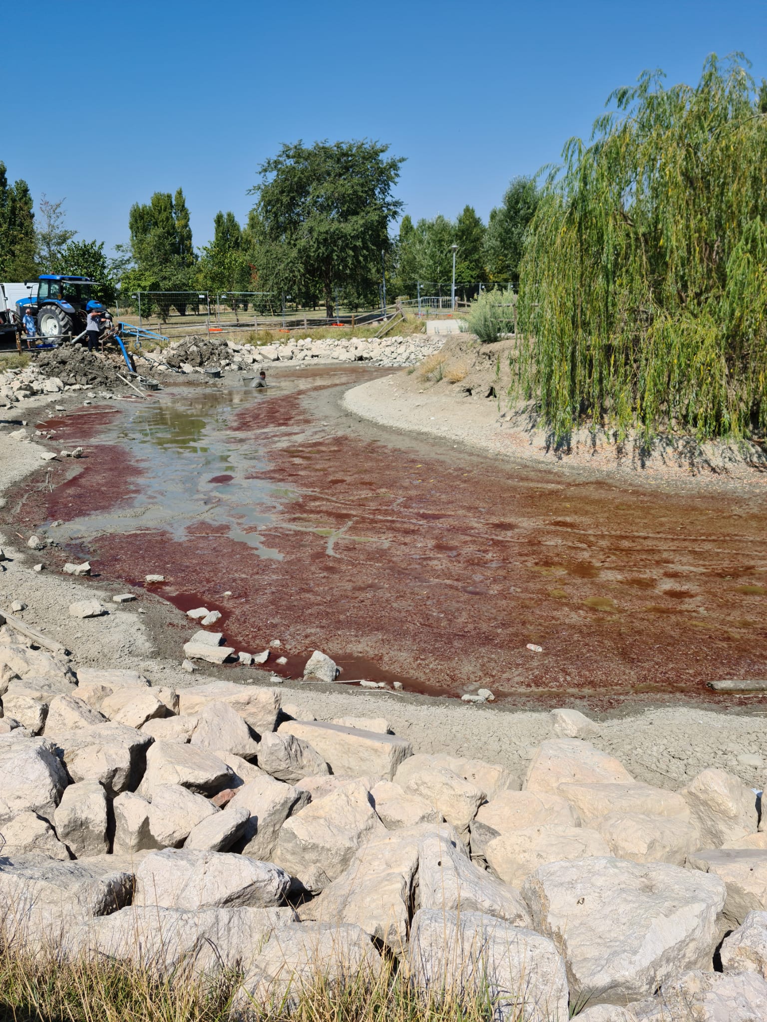 San Felice – Interramento del laghetto del Parco Estense, il perchè dell’Amministarzione