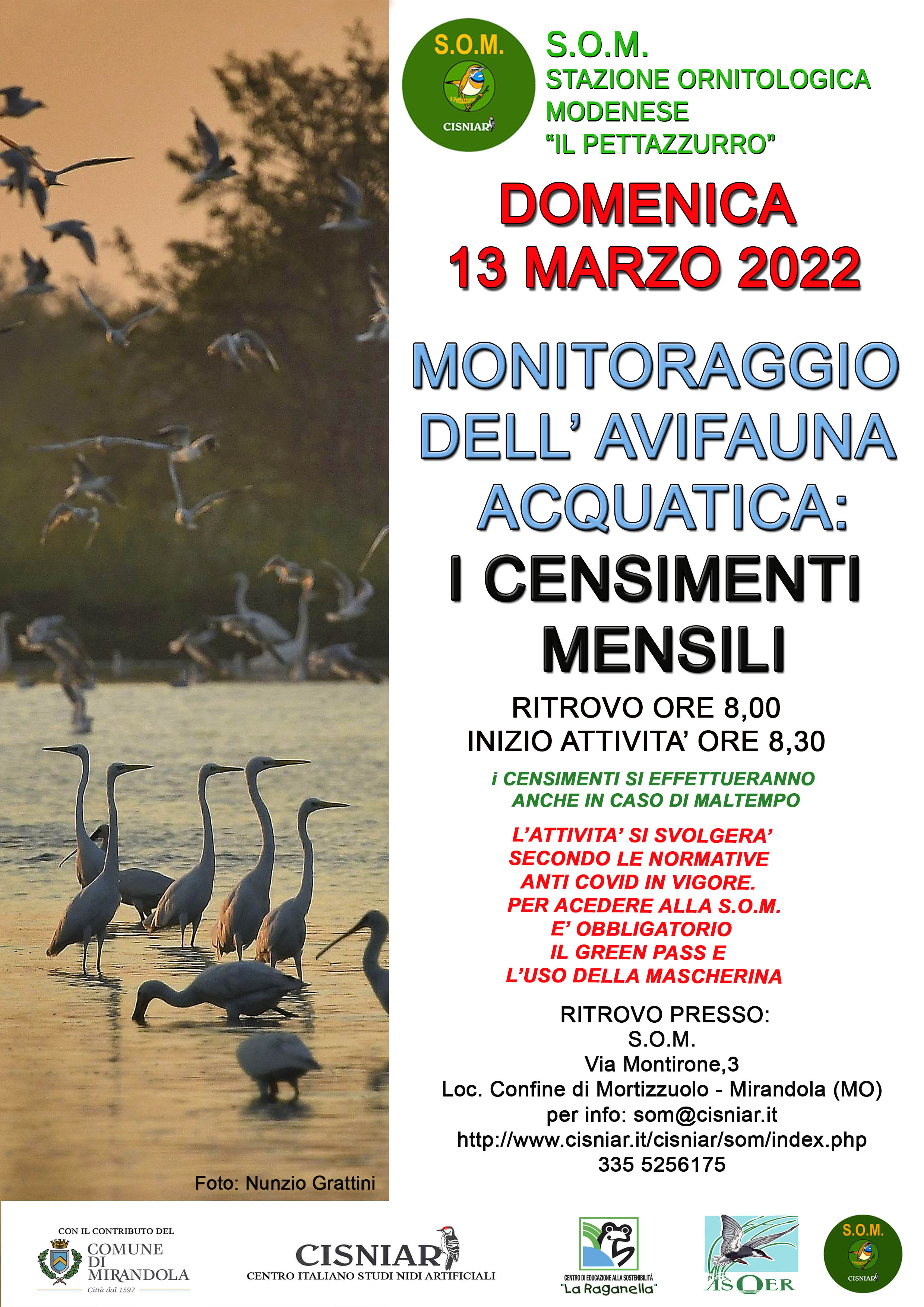 Domenica 13 Marzo – S.O.M. Monitoraggio dell’avifauna acquatica