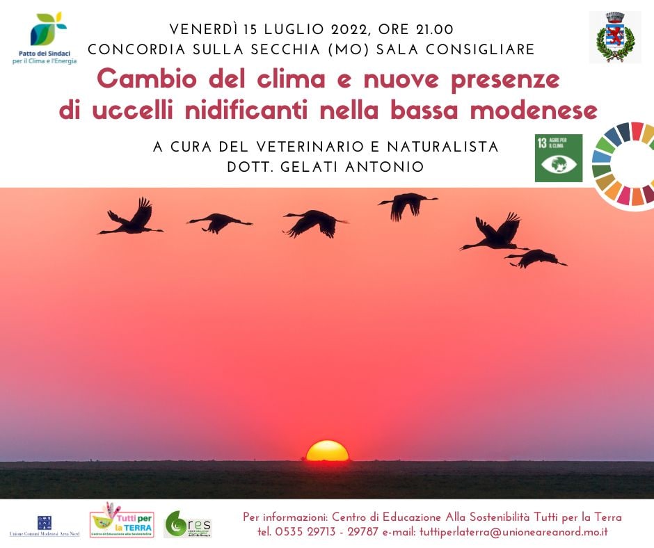 Venerdì 15 Luglio a Concordia – Cambio del clima e presenze e presenze di uccelli nidificanti nella bassa modenese