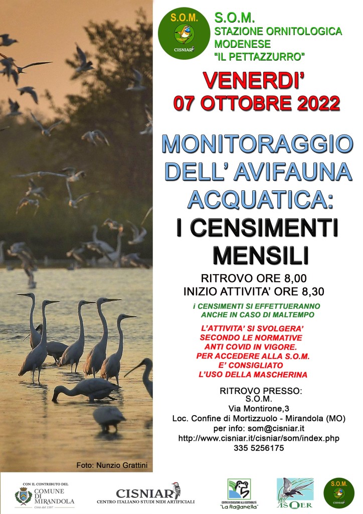 Venerdì 7 Ottobre - S.O.M - Censimenti Mensili