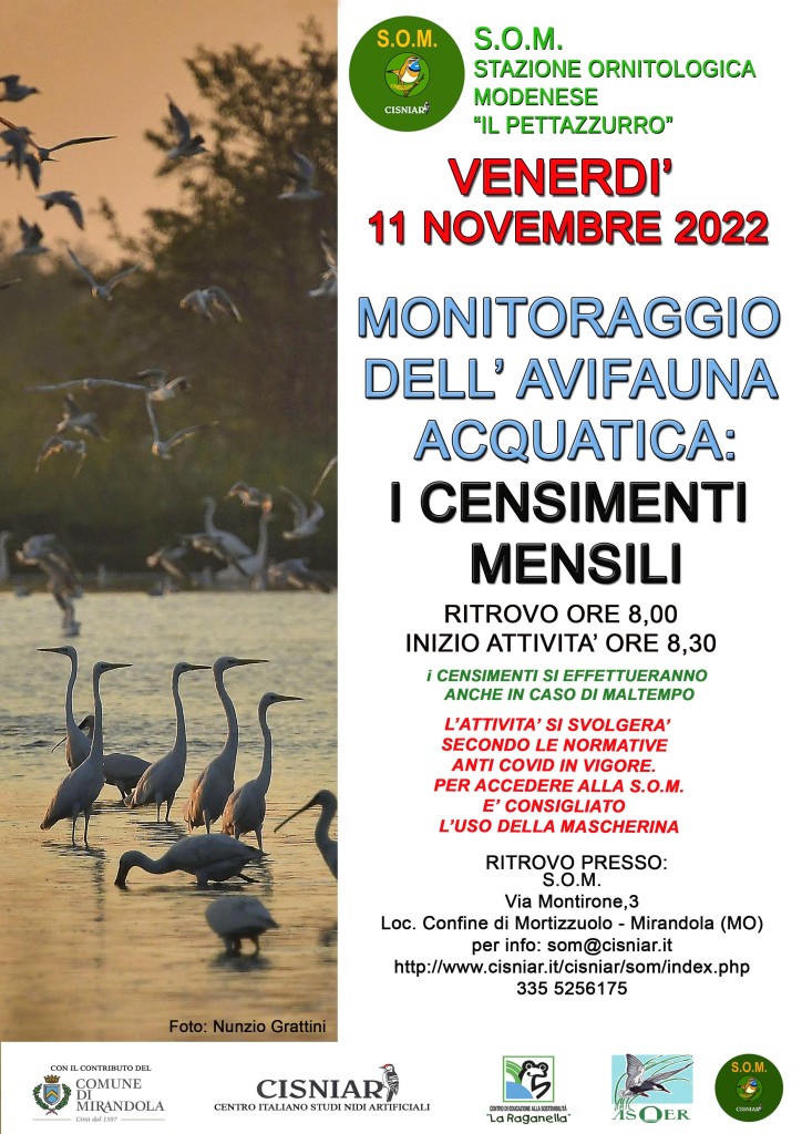 Venerdì 11 Novembre  - S.O.M - Censimenti mensili