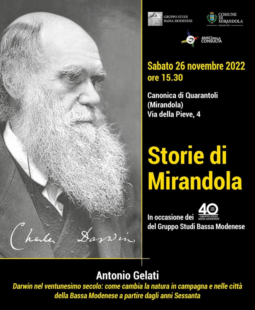 Sabato 26 Novembre a Quarantoli - Storie di Mirandola