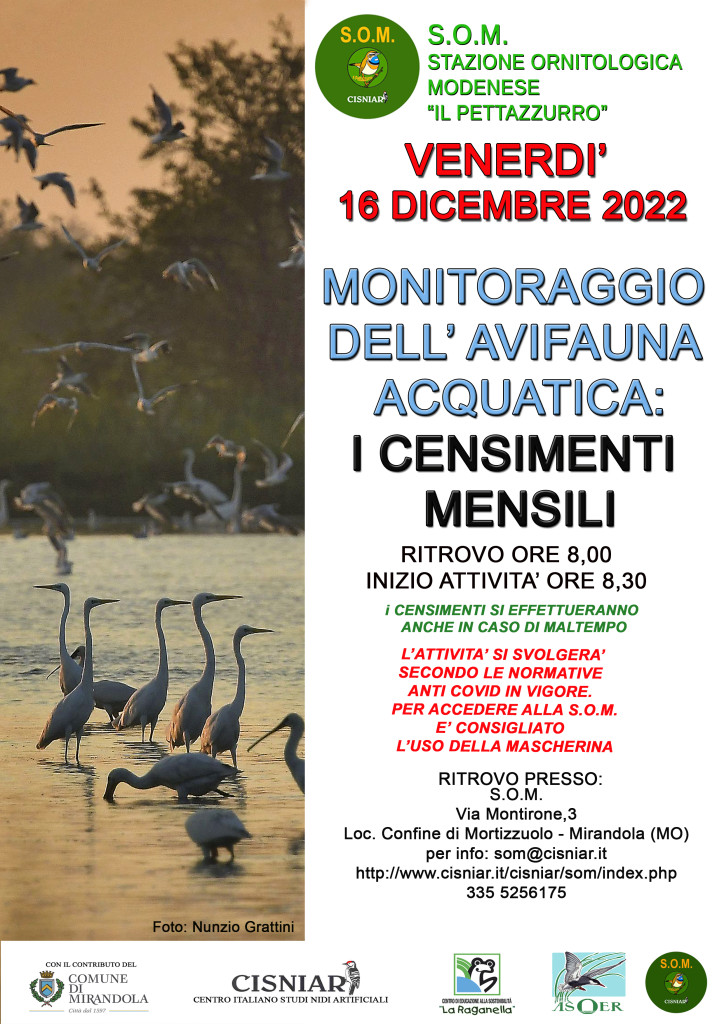 Venerdì 16 Dicembre - S.OM.- Monitoraggio dell'Avifauna Acquatica