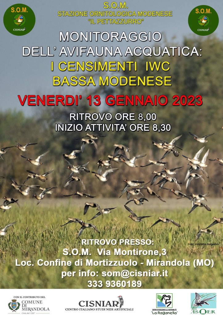 Venerdì 13 Gennaio S.O.M - Censimenti IWC Bassa Modenese