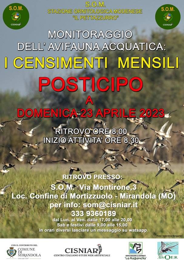 Domenica 23 Aprile S.O.M.- Monitoraggio dell'Avifauna Acquatica