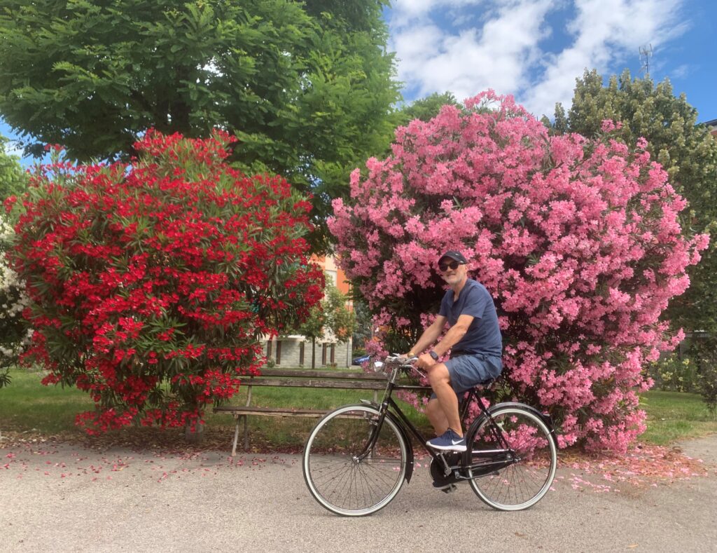 Le biciclette degli antichi mestieri della collezione di Giorgio per ora sono terminate.
Sono grato a Giorgio per aver..........