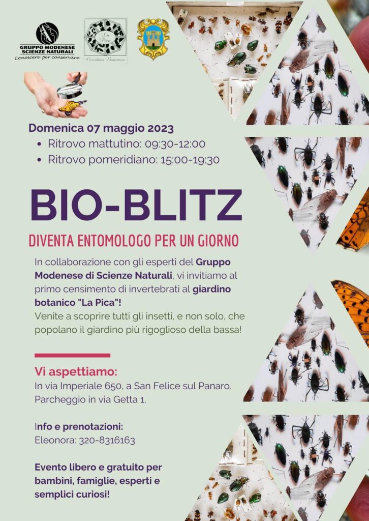 Domenica 7 Maggio - BIO-BLIZ - Diventa entomologo per un giorno