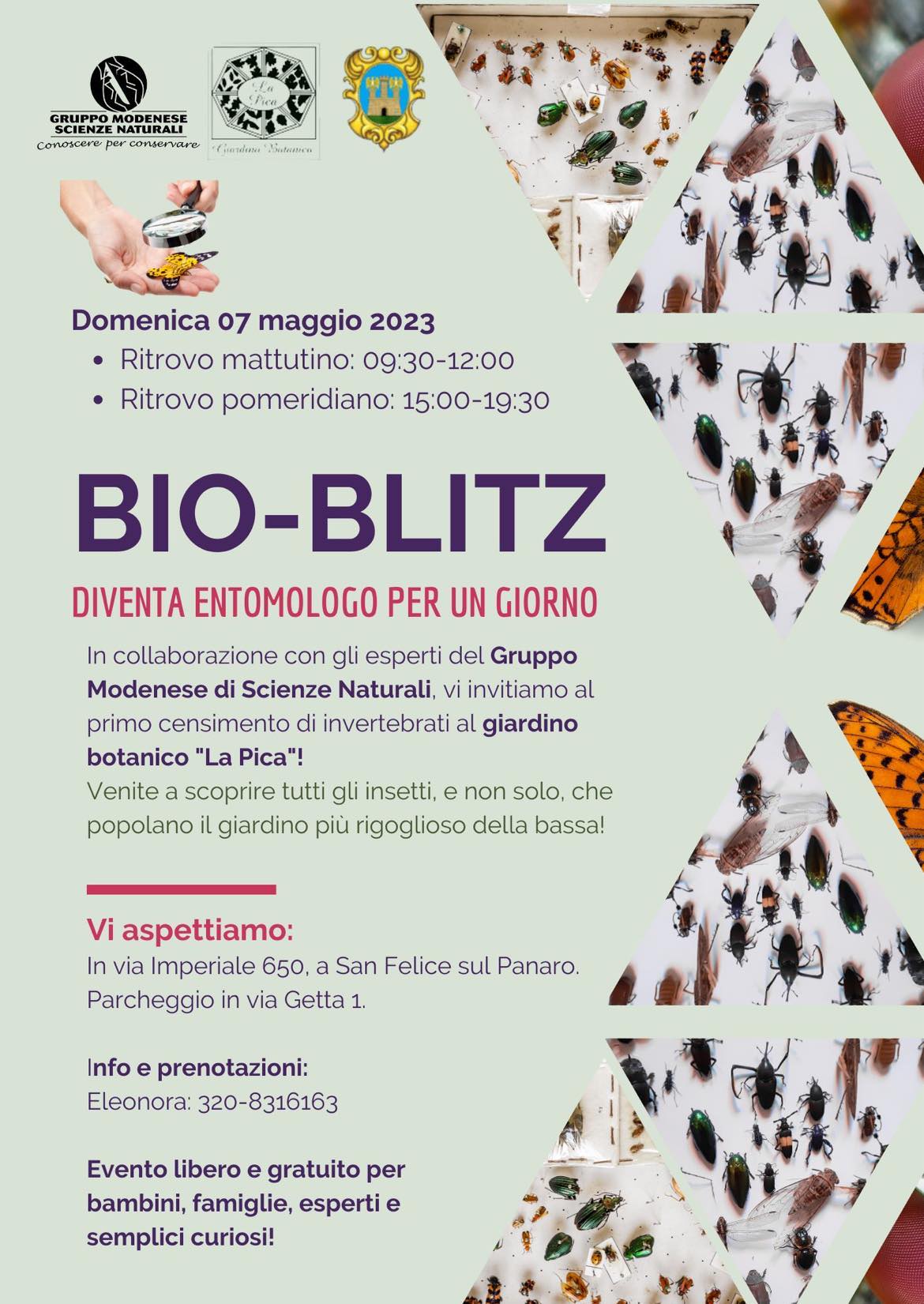 Domenica 7 Maggio – BIO-BLIZ – Diventa entomologo per un giorno