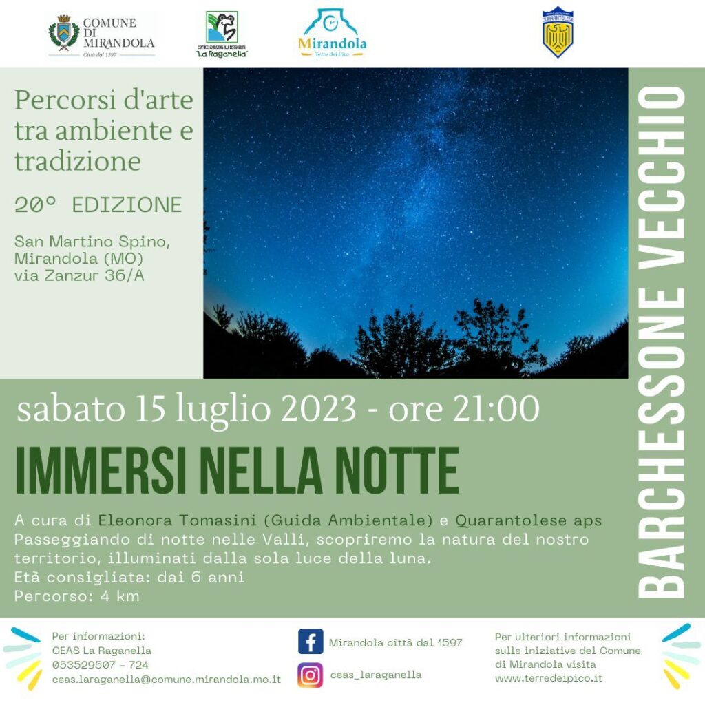 15 Luglio a San Martino Spino - Immersi nella notte