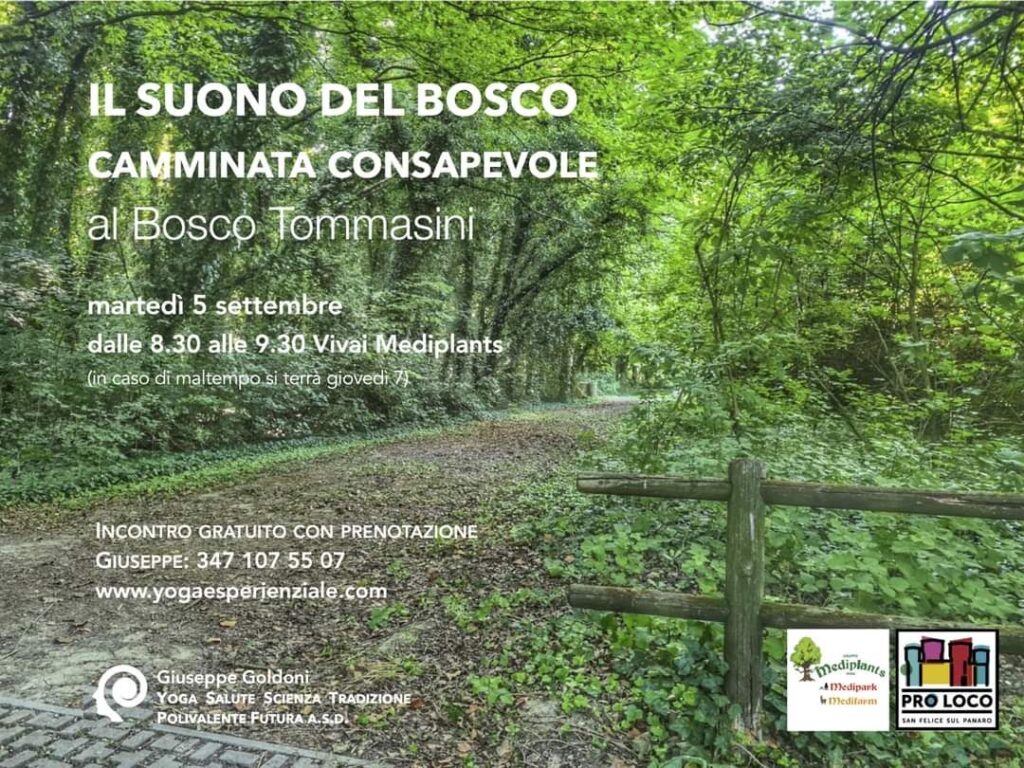 Martedì 5 Settembre a San Felice - Camminata nel Bosco Tommasini