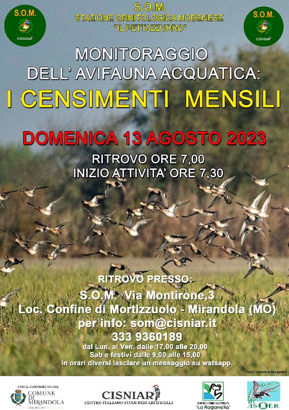 Domenica 13 Agosto – S.O.M – Censimenti mensili