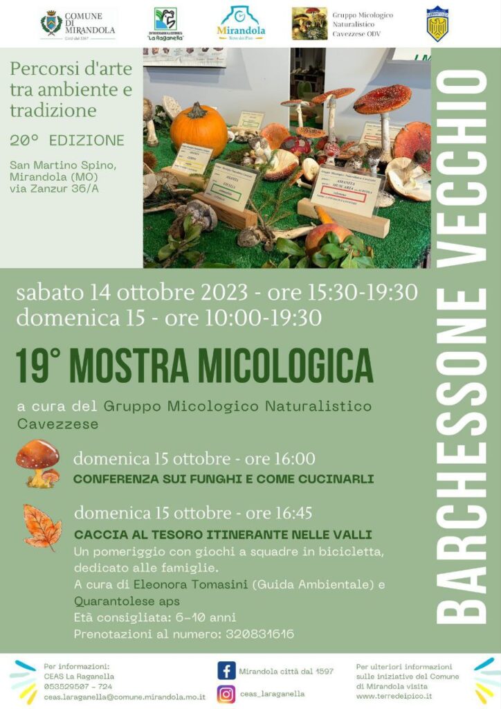 Sabato 14 Ottobre a San Martino Spino - Mostra e Caccia al Tesoro!