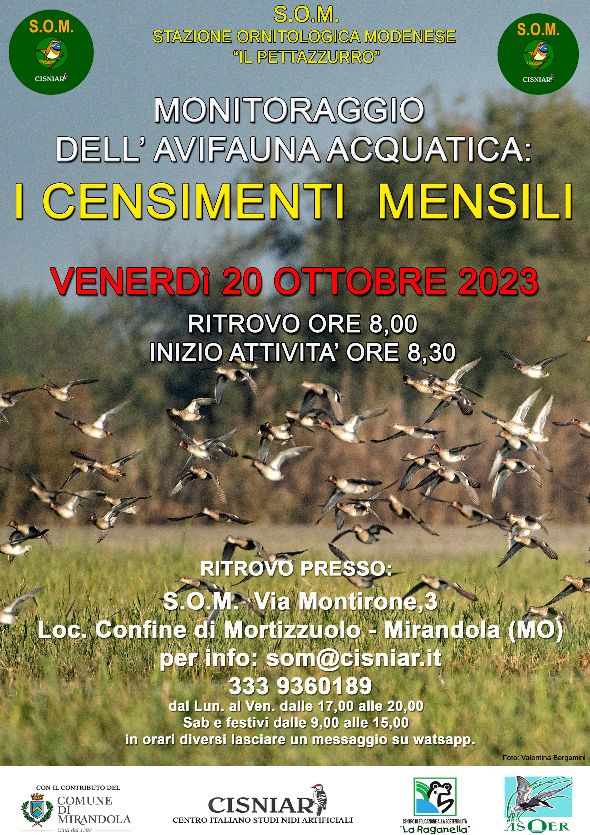 Venerdì 20 Ottobre – S.O.M – Censimenti Mensili