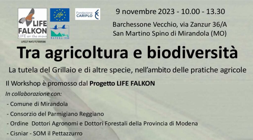 Giovedì 9 Novembre a San Martino Spino - Tra agricoltura e biodiversità