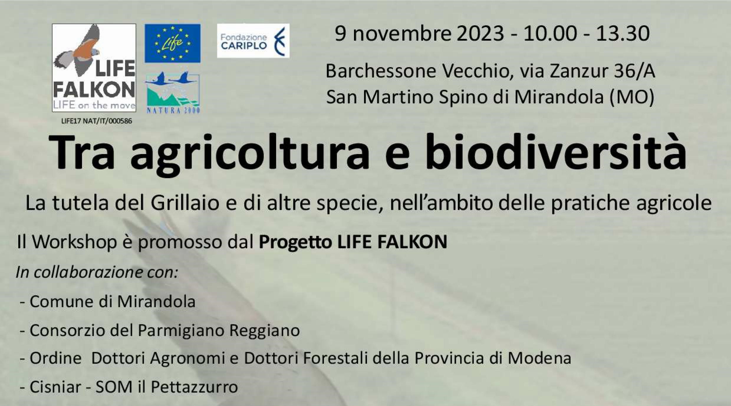 Giovedì 9 Novembre a San Martino Spino – Tra agricoltura e biodiversità