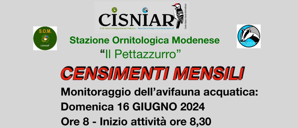 16 Giugno - S.O.M.- Censimenti mensili