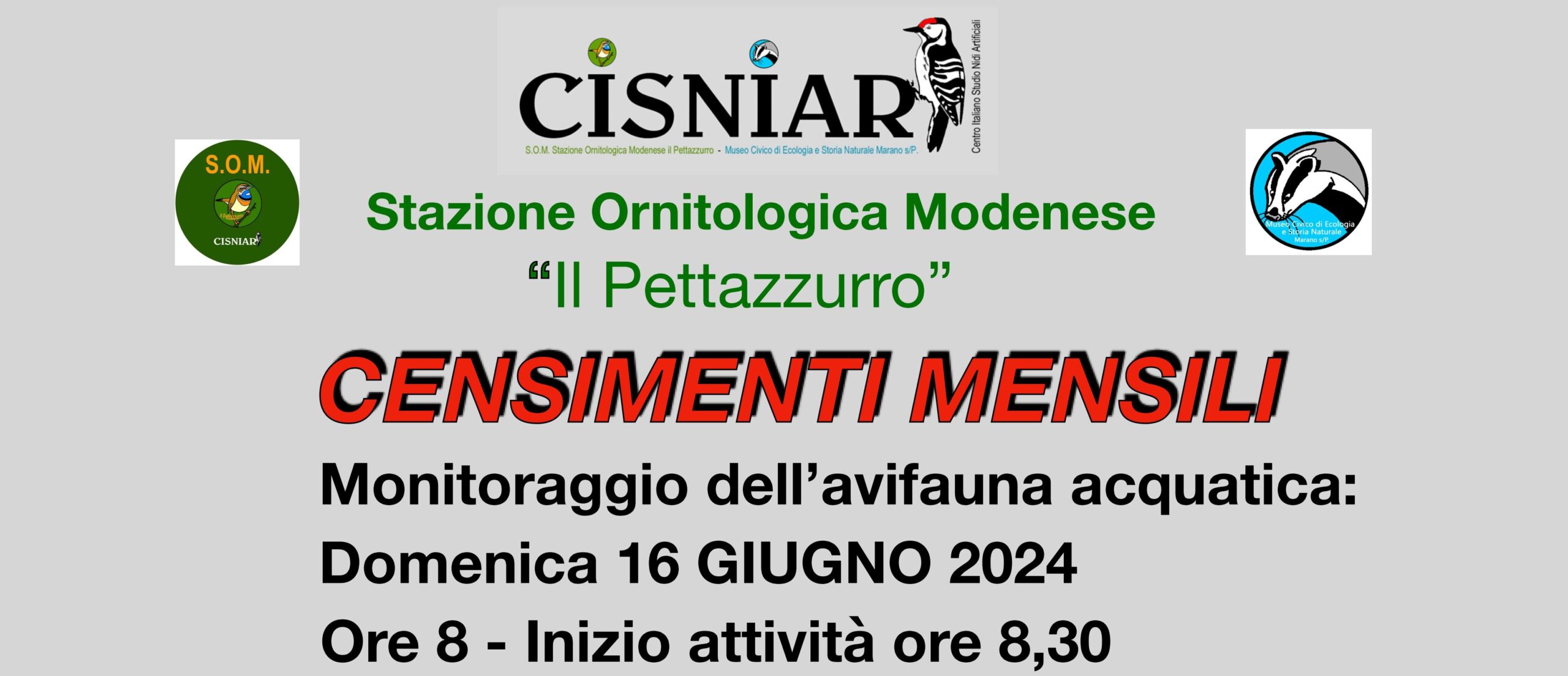 16 Giugno – S.O.M.- Censimenti mensili