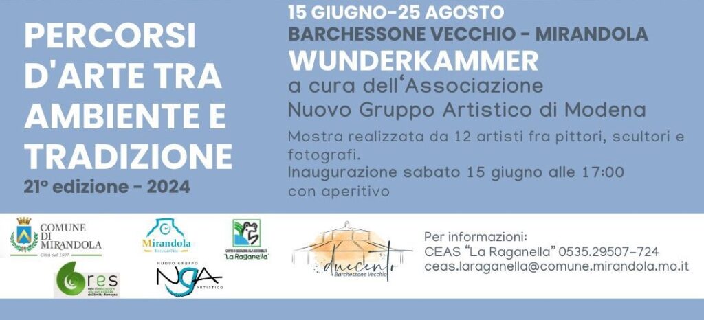 Dal 15 Giugno a San Martino Spino - "Wunderkammer", mostra di 12 artisti al Barchessone Vecchio