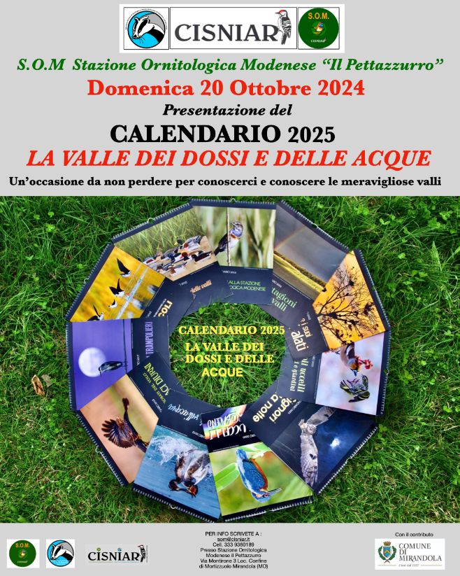 20 ottobre