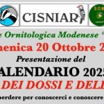 20 ottobre1