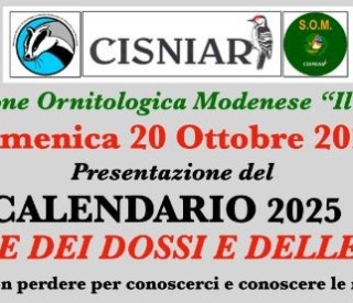 20 ottobre1