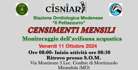 11 Ottobre S.O.M – Censimenti mensili