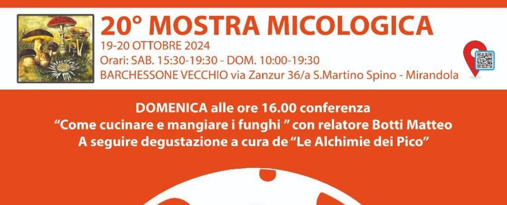 19/20 Ottobre al Barchessone Vecchio a San Martino Spino - Mostra Micologica