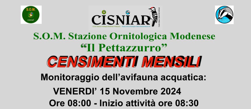 15 Novembre - S.O.M - Censimenti mensili