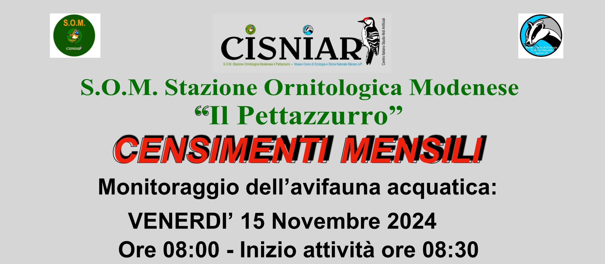 15 Novembre – S.O.M – Censimenti mensili