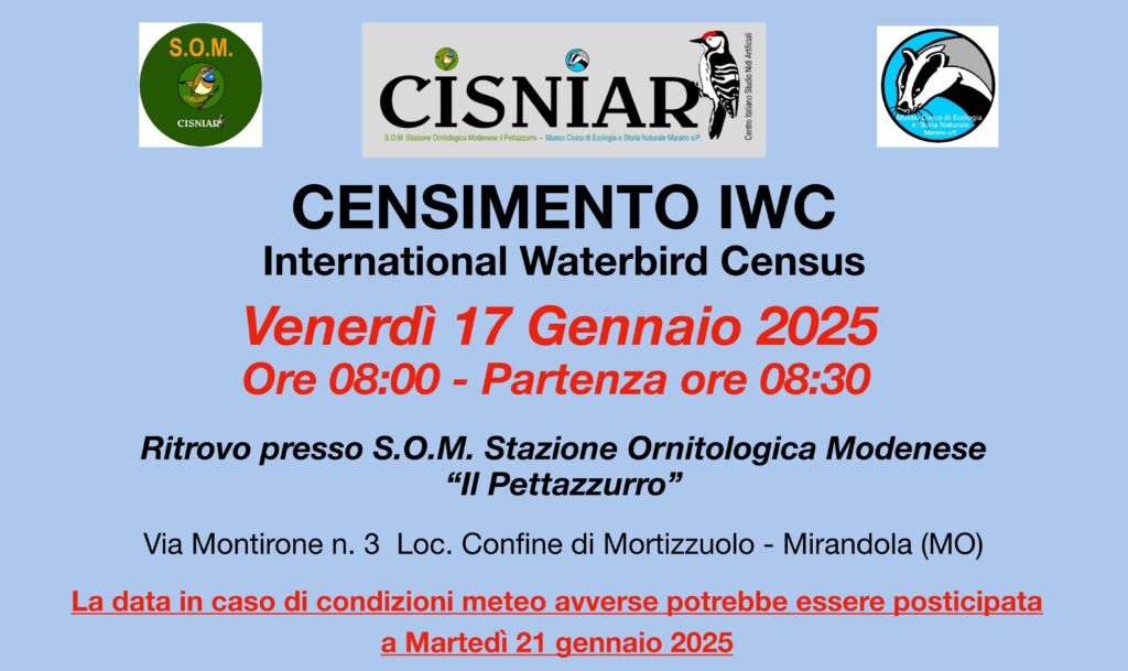 17 Gennaio S.O.M.-Censimenti IWC