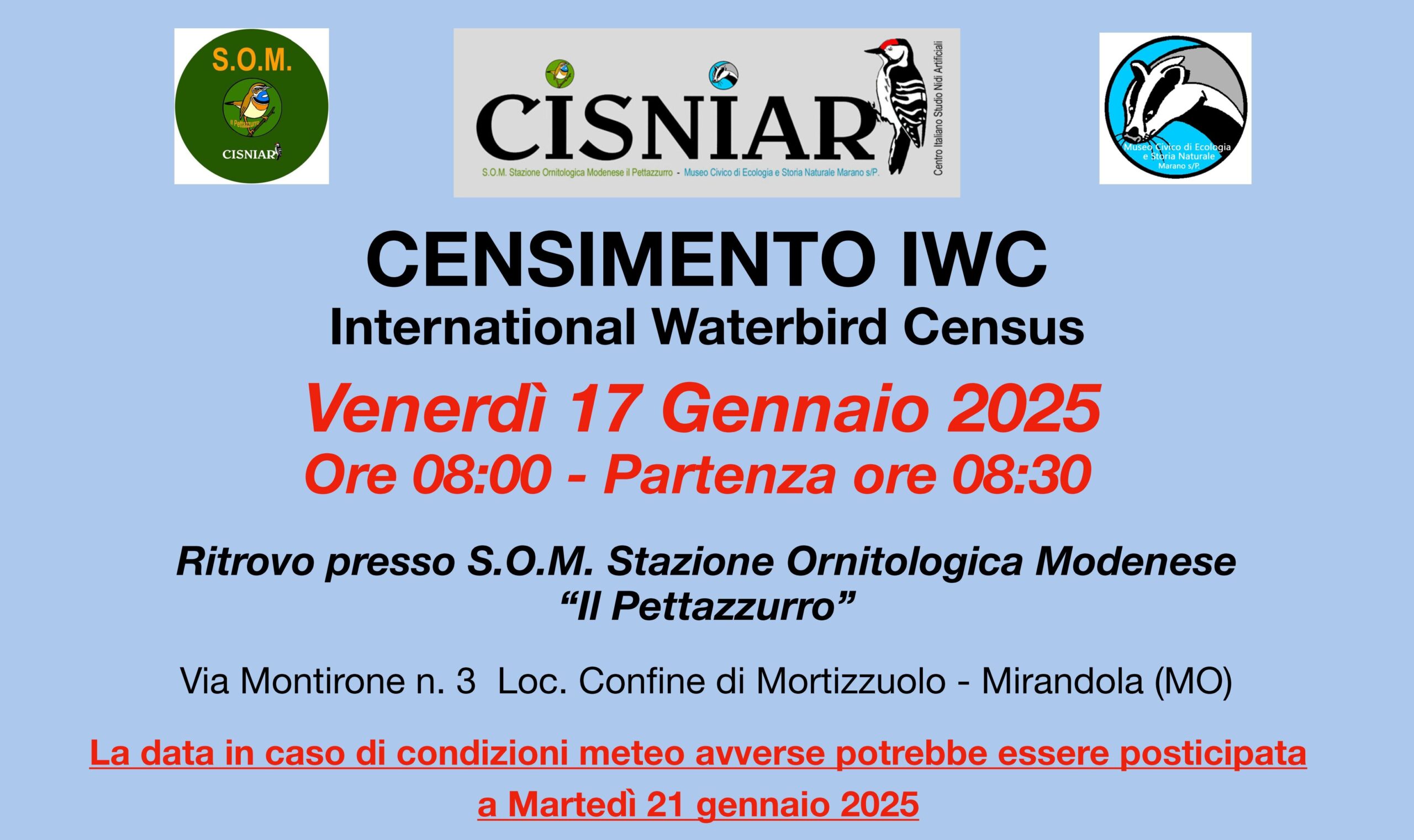 17 Gennaio S.O.M.-Censimenti IWC