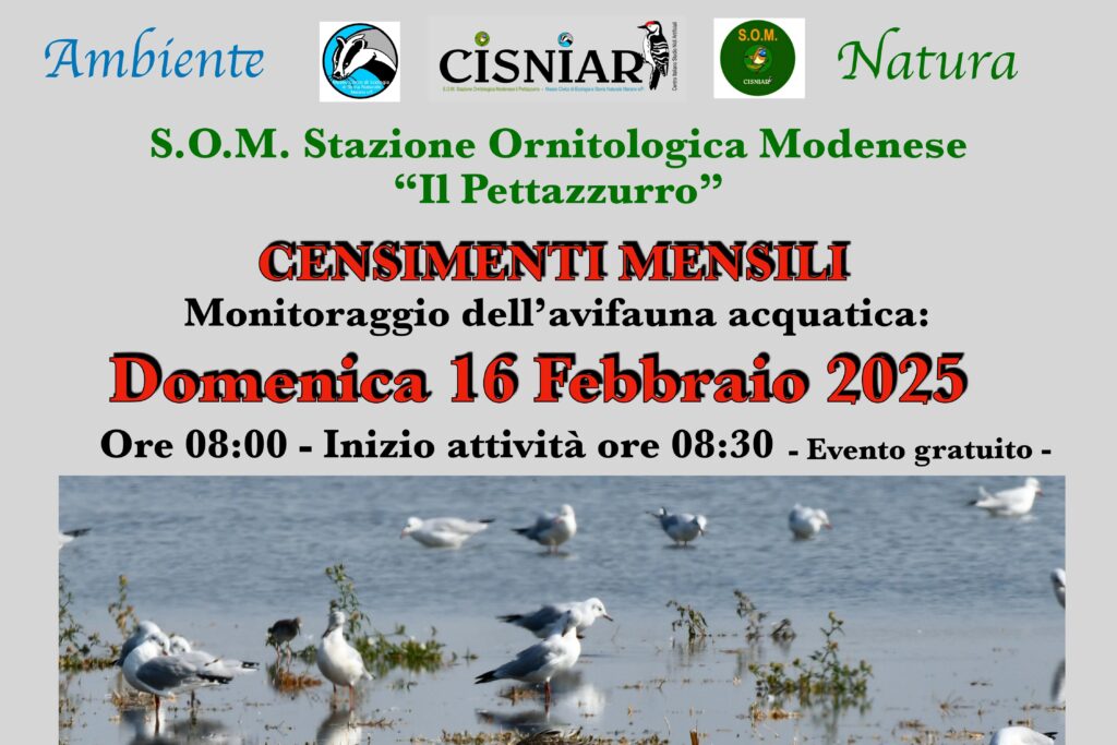 16 Febbraio - S.O.M - Censimenti mensili