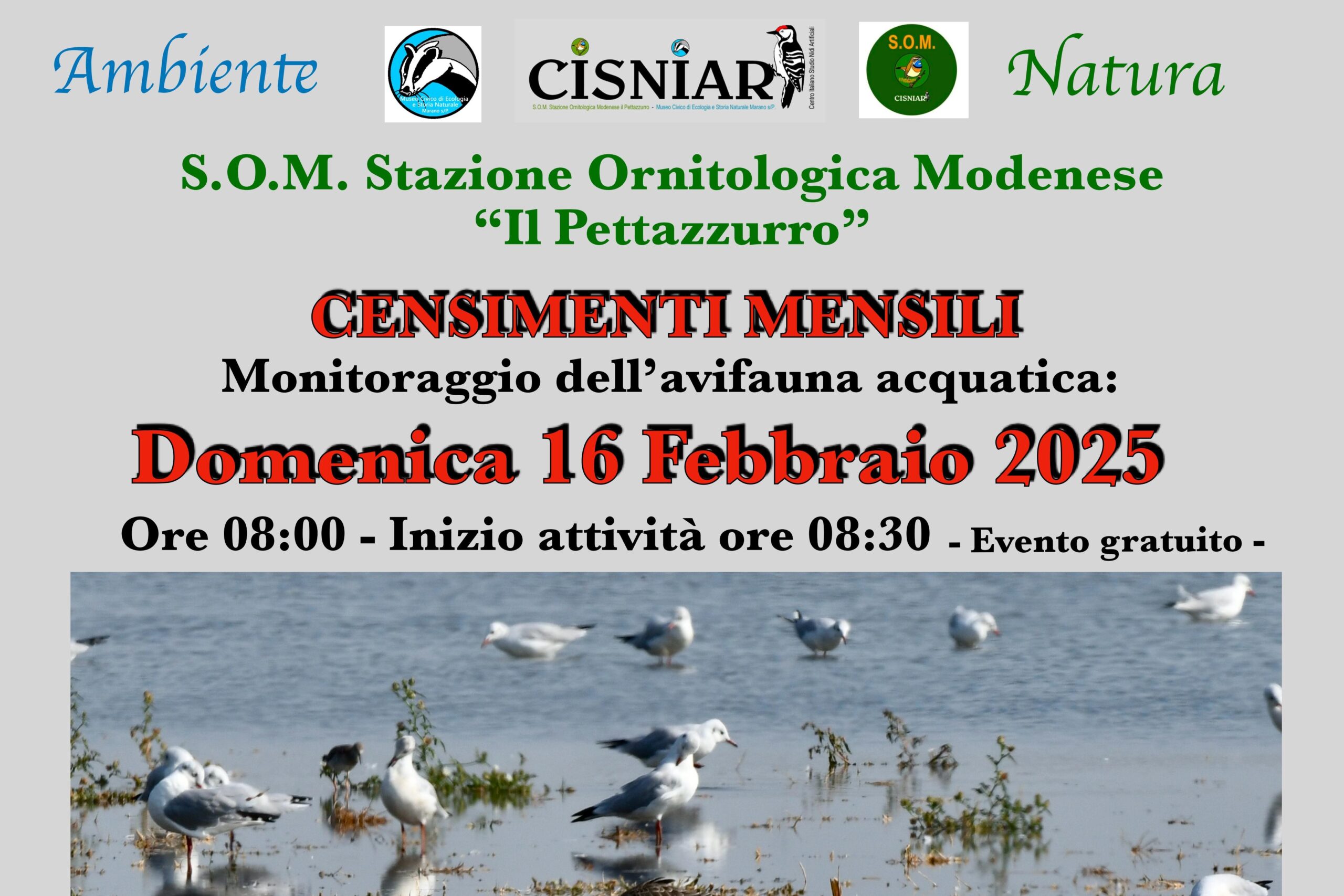 16 Febbraio – S.O.M – Censimenti mensili