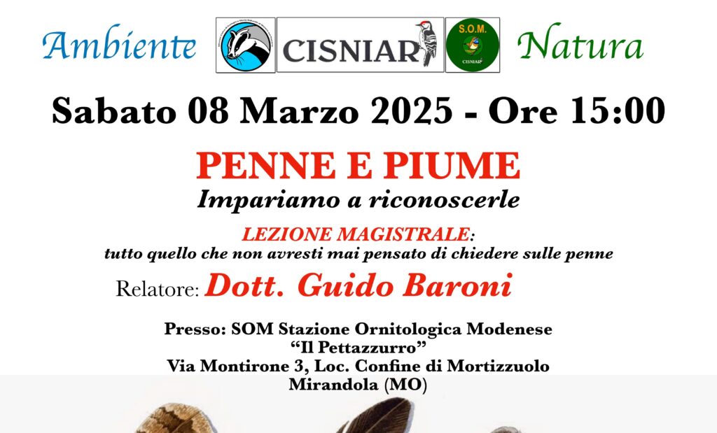 8 Marzo - S.O.M. - Penne e Piume, impariamo a riconoscerle