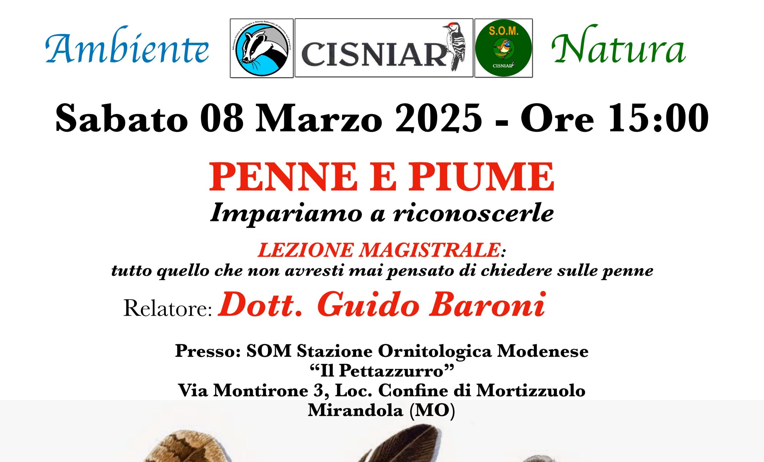 8 Marzo – S.O.M. – Penne e Piume, impariamo a riconoscerle