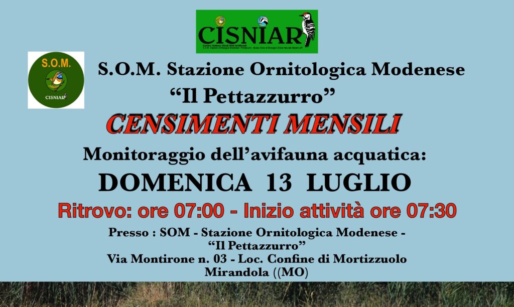 13 Luglio - S.O.M. - Censimenti mensili