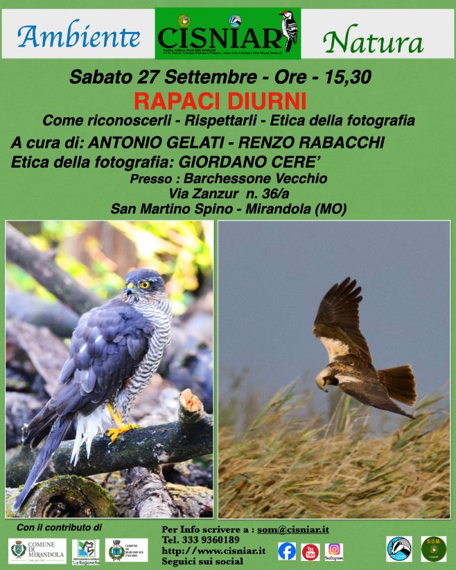 Volantino4-RAPACIDIURNI27_settembre.001