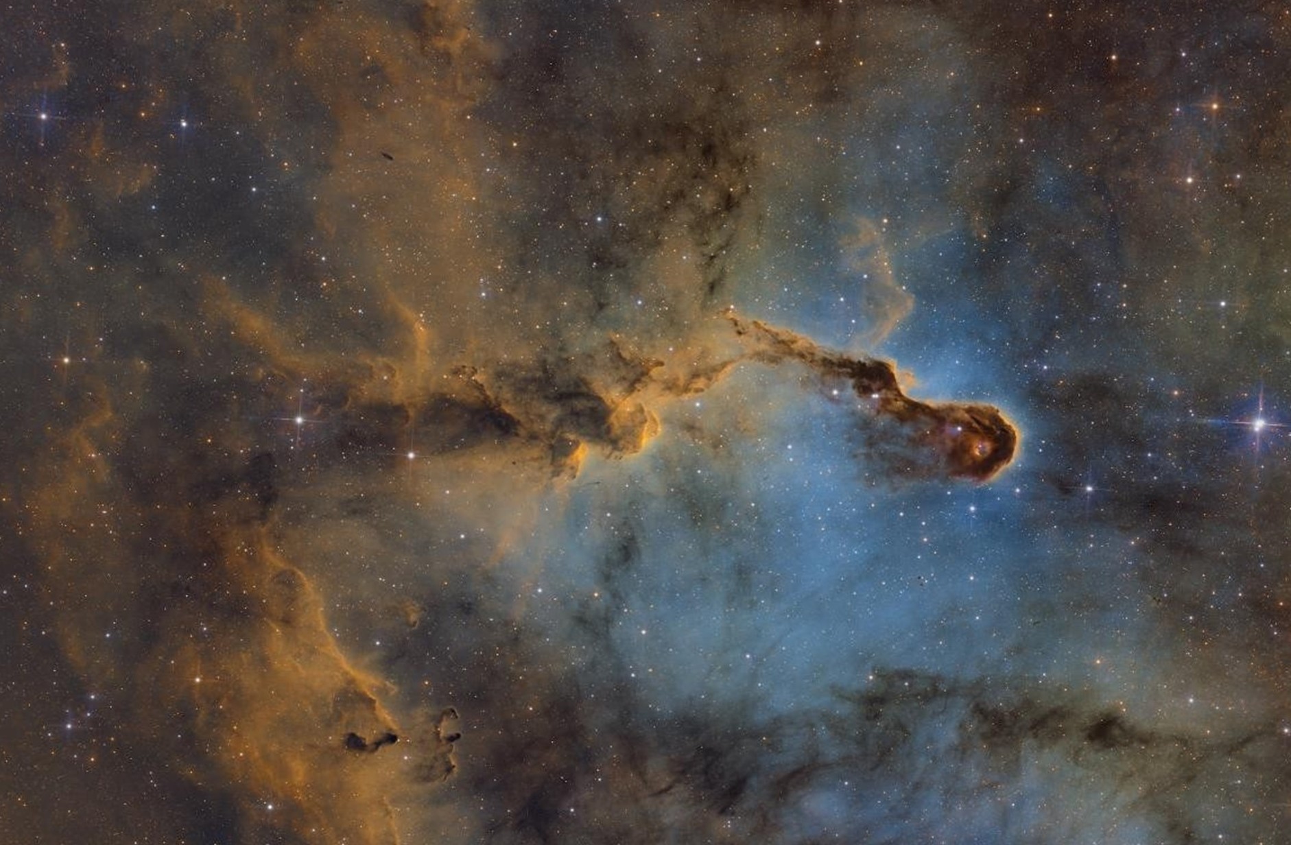 Luca “Orione” Reggiani – Nebulose e Proboscidi