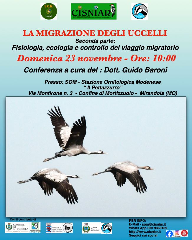 Testo-migrazionesecondaparte.001