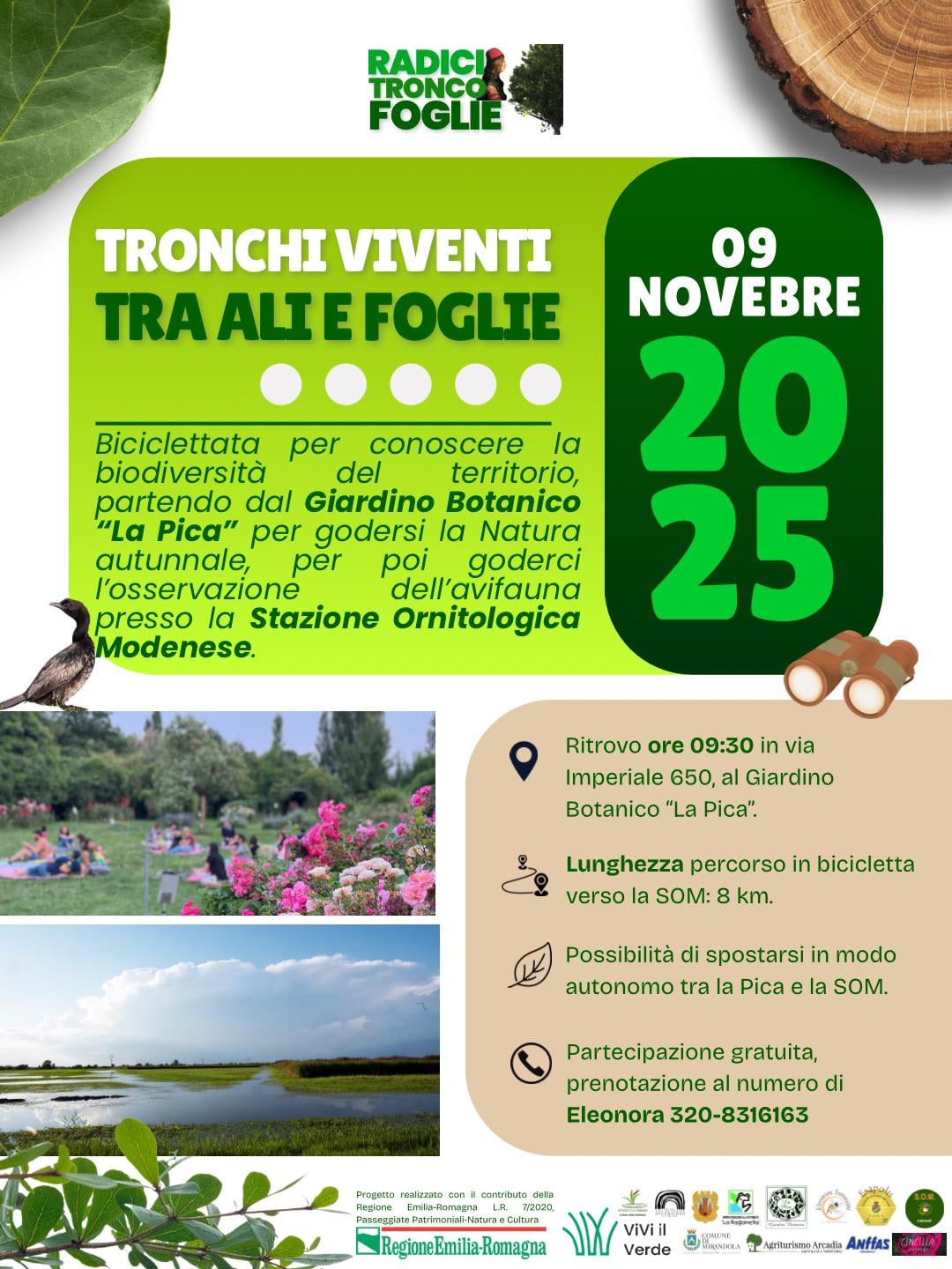 f25d80cc-d603-477c-b925-f46f3170ccf3