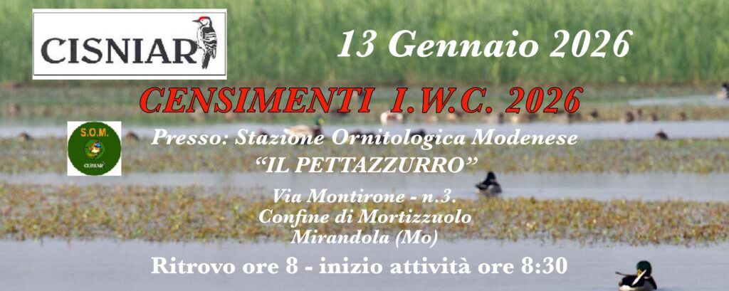 13 Gennaio - S.O.M. Censimenti I.W.C. 2026