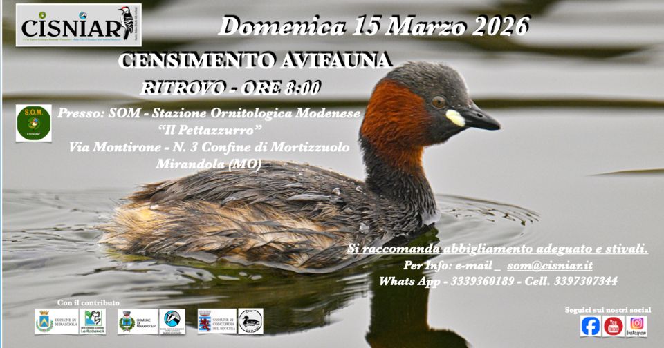 15 Marzo – S.O.M. – Censimento avifauna