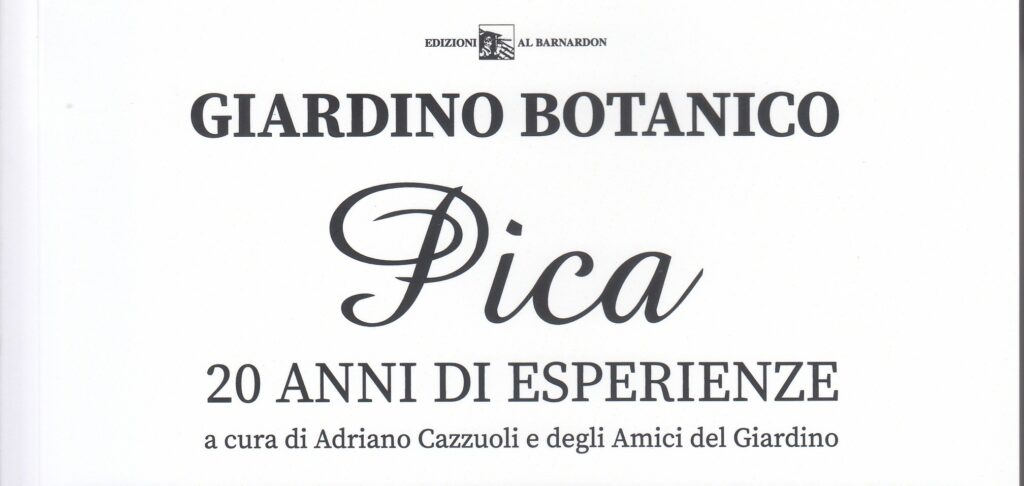 Vent’anni fa qui c’era un campo di soia.
Oggi c’è un giardino vivo, cresciuto stagione dopo stagione grazie a chi ci ha creduto davvero.
Gli alberi sono diventati grandi, fanno ombra, ospitano insetti, uccelli, vita..........